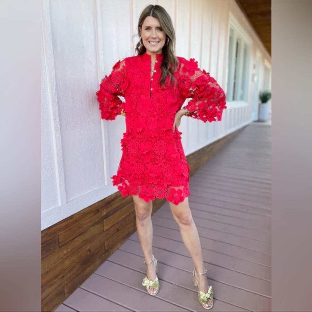 NWT J.Marie Seraphina Floral 3D Lace Split Round Button Up Neck Shift Dress XS